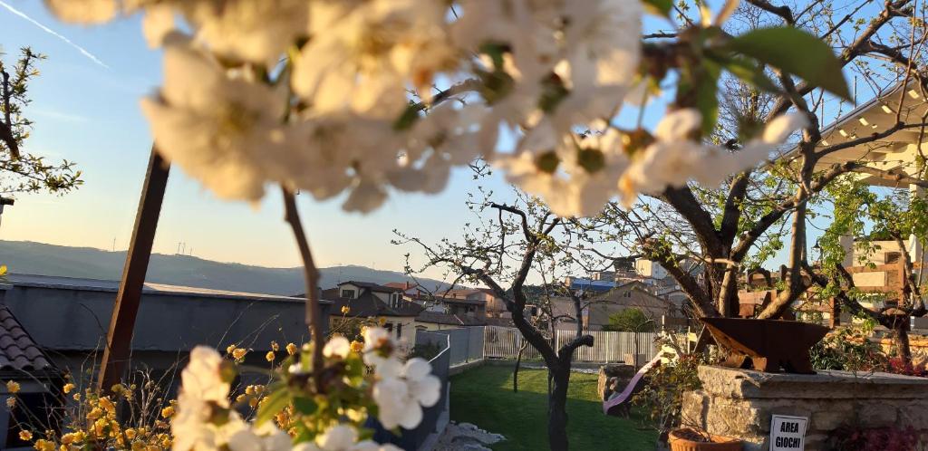 A garden outside Albergo B&B Antica Trattoria Bacco