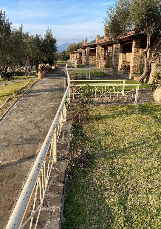 Elaionas Zeliou - Room King Superior