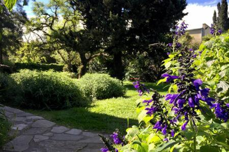 um jardim com flores roxas e um caminho em Habitación en casa con gran jardín em San Isidro
