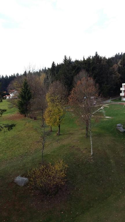 Příroda nedaleko apartmánu