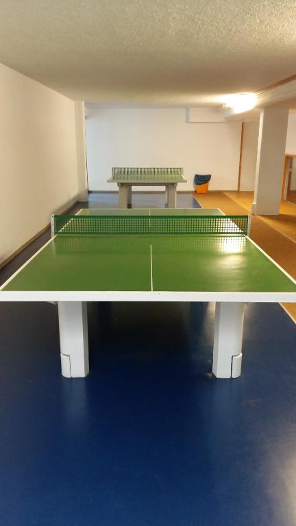 Stolní tenis v ubytování Herzerl Apartment nebo okolí