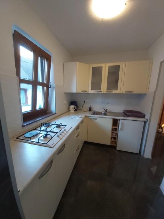 Kuchyň nebo kuchyňský kout v ubytování Apartment Mira