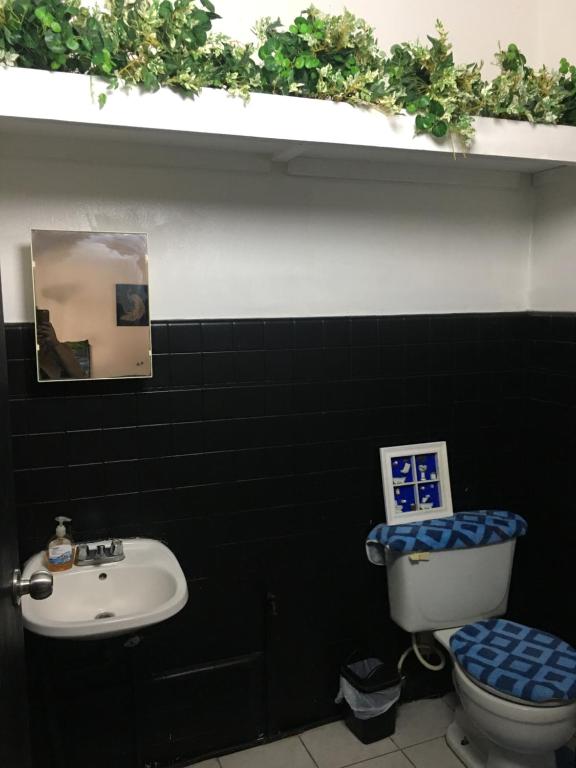 La salle de bains noire est pourvue de toilettes et d'un lavabo. dans l'établissement MEDUSA'S HOSTEL, à Aguadilla