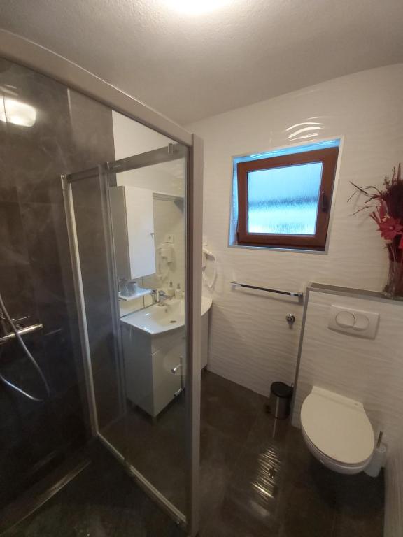 Koupelna v ubytování Apartment Mira