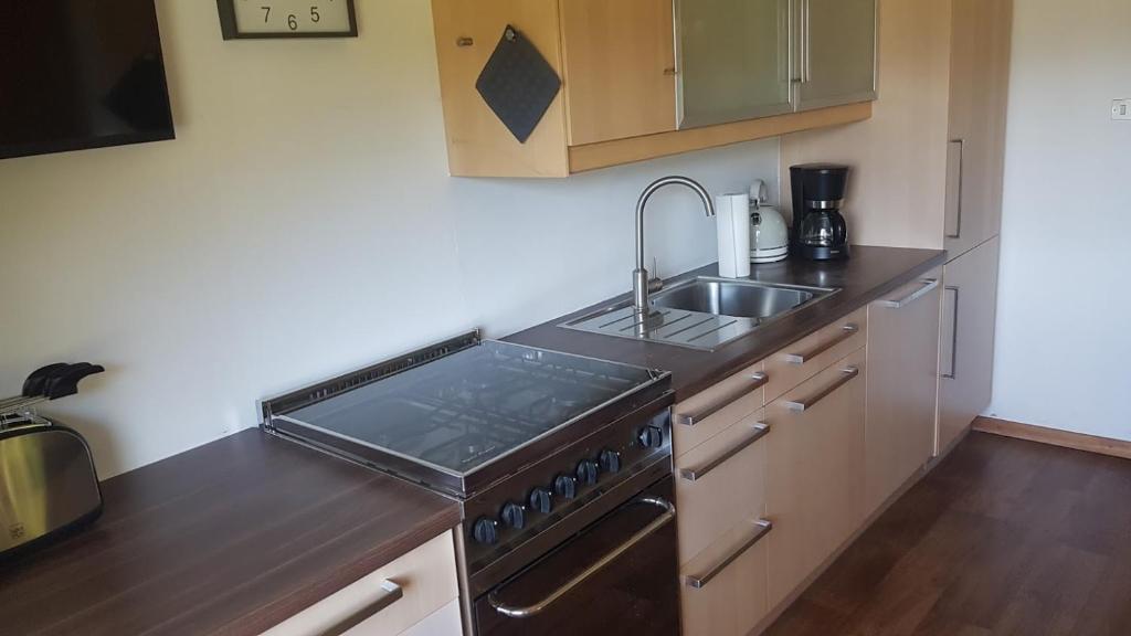 Kuchyň nebo kuchyňský kout v ubytování Partschillerhof