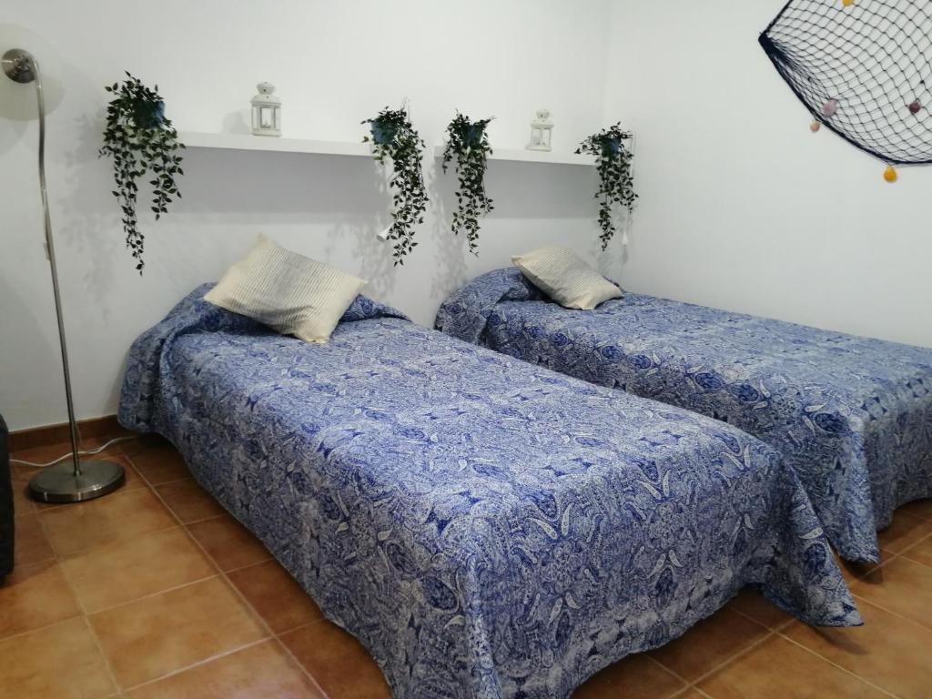 2 camas en una habitación con plantas en la pared en Estudio Vista Rubicon, en Playa Blanca