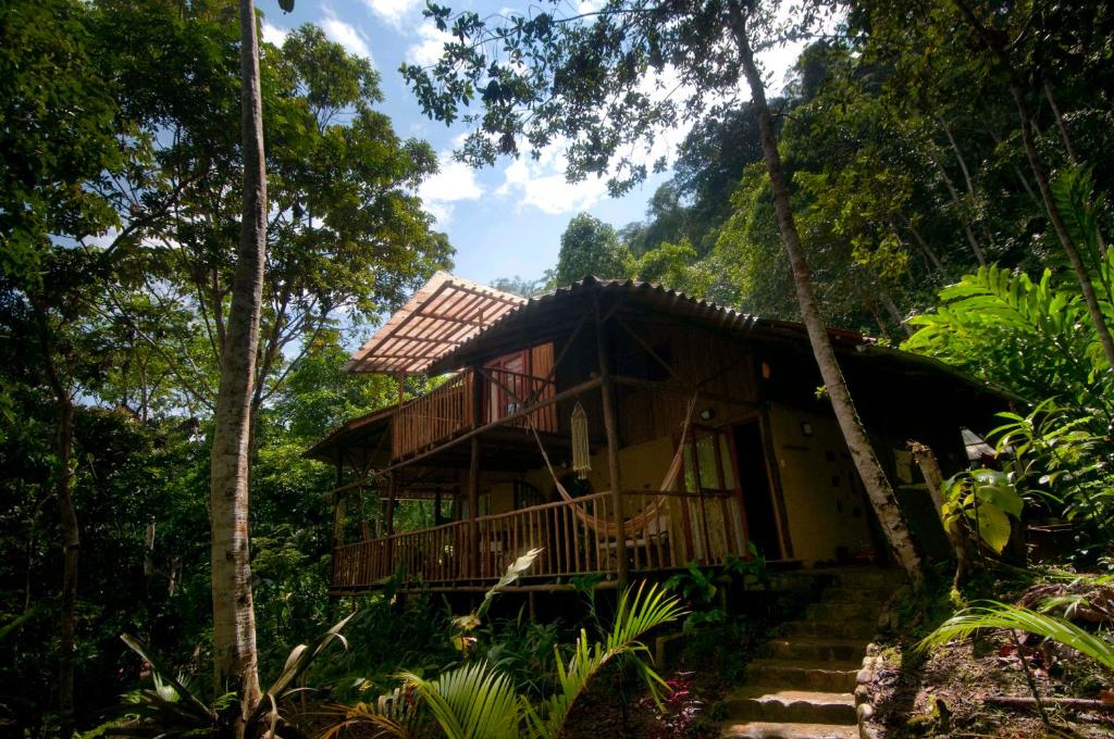 a house in the middle of a forest at Chirapa Manta Amazon Lodge in Lamas