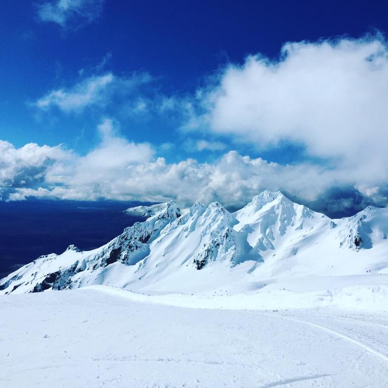 Absolute Lake View Motel - Resim 22