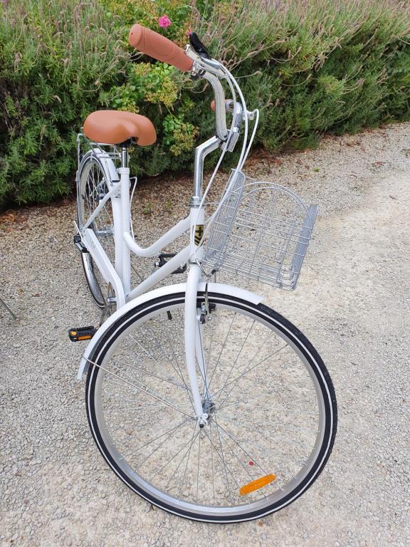 Swan House - Resim 12