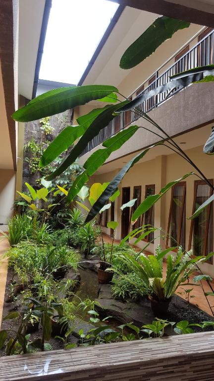 Zahrada ubytování Aloha Hotel Yogyakarta