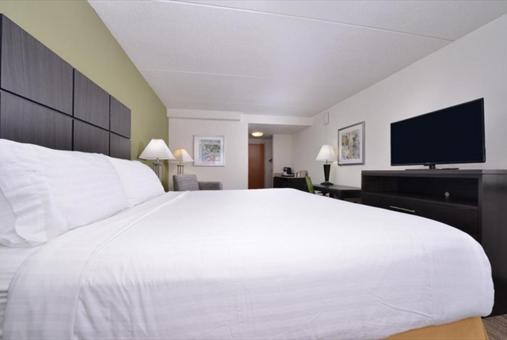 Holiday Inn Express Hotel & Suites Mooresville - Lake Norman by IHG - Zimmer Mit Kingsize-Bett – Barrierefreie Dusche