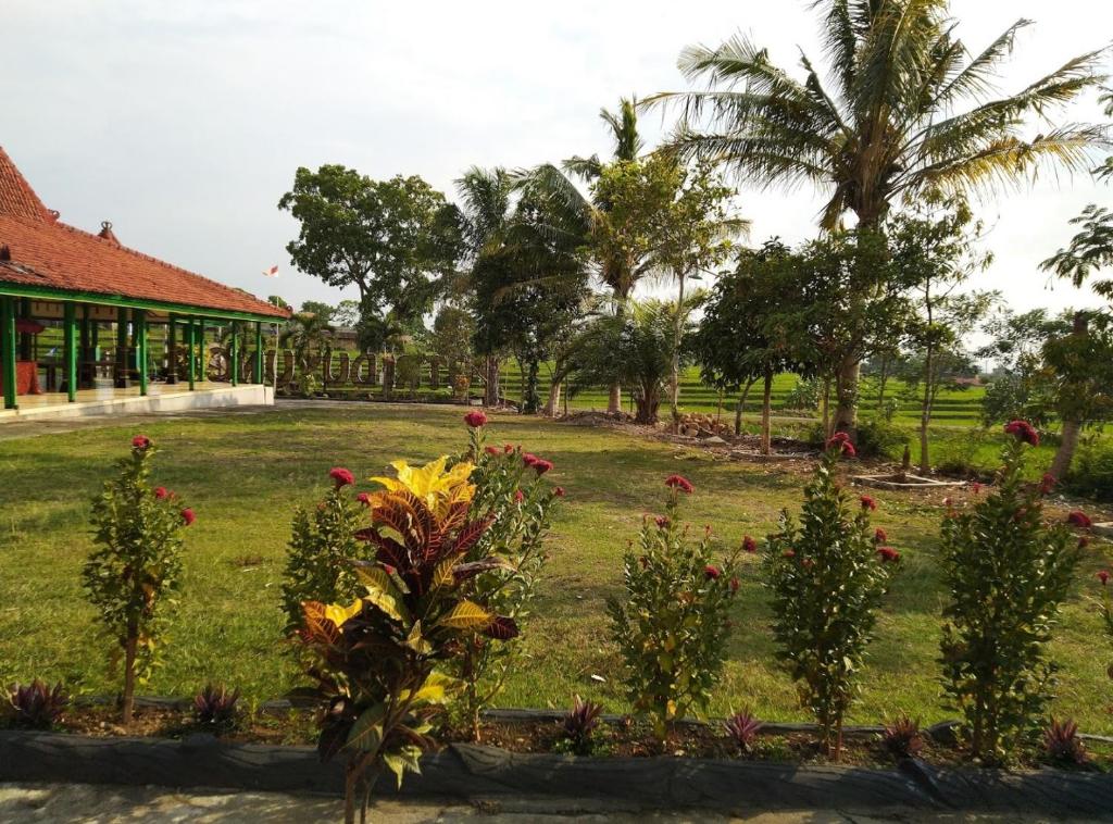 Putri Duyung Guest House - Salle Double Ou Jumelle