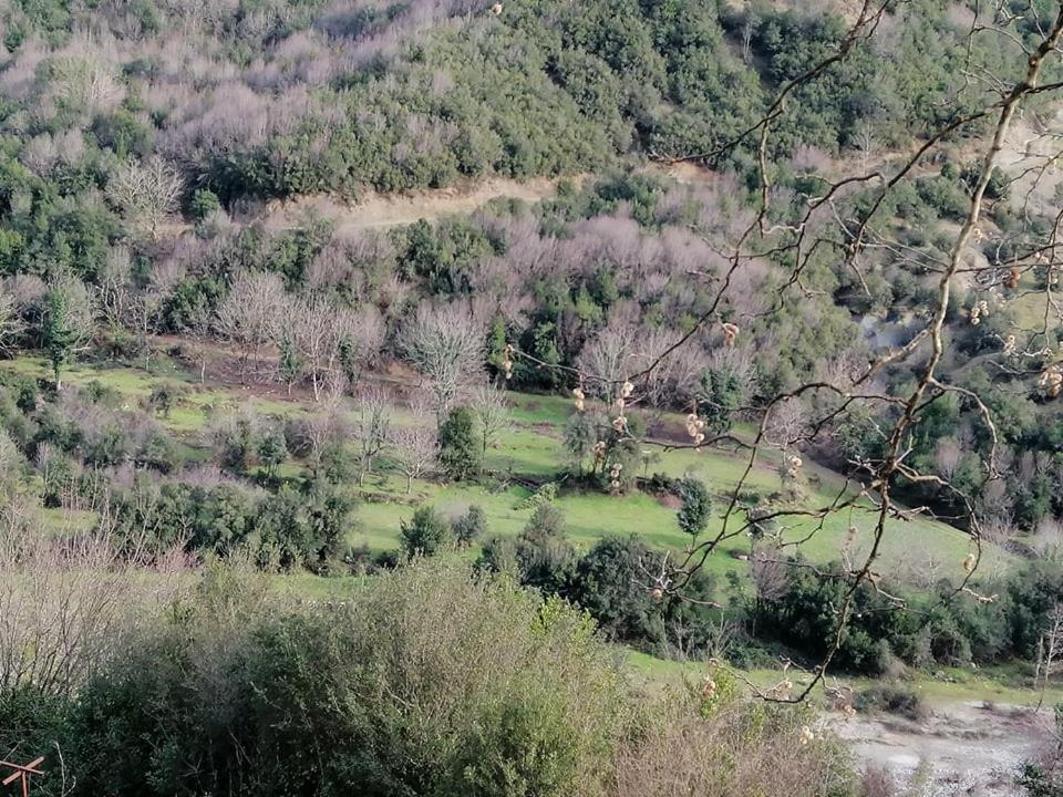 Κτήματα Ευδοξία