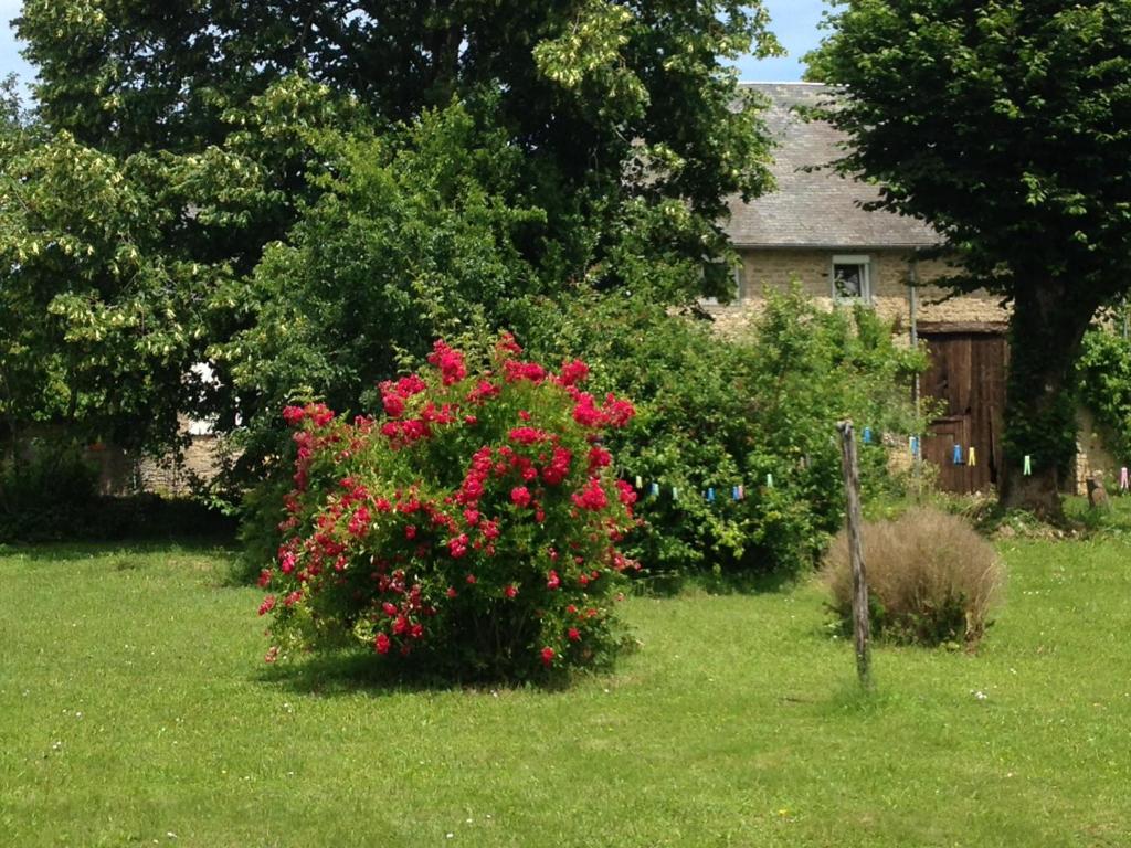 un arbusto de flores rojas delante de una casa en gîte le tilleul de la Fontaine, en Alluy