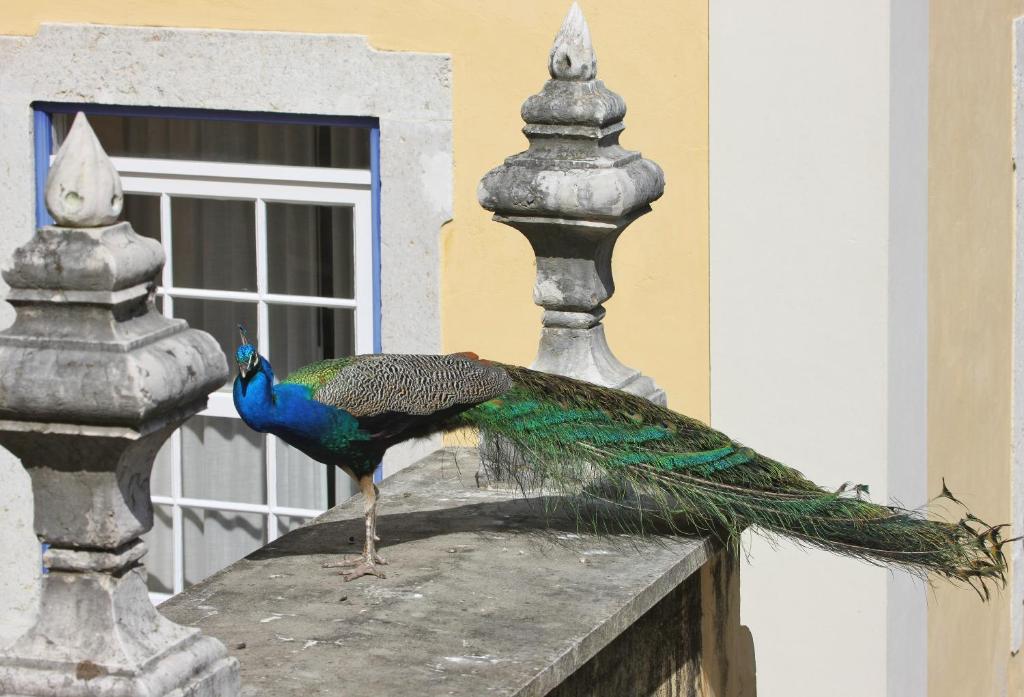 Solar do Castelo - Lisbon Heritage Collection - Alfama - Resim 39