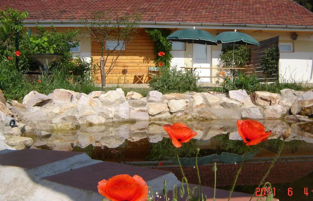 uma parede de pedra com flores vermelhas em frente a uma casa em Lazy Days em Debrecen