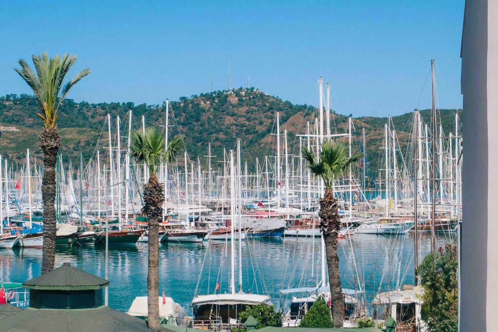 a bunch of boats docked in a marina with palm trees at Infinity City Hotel in Fethiye