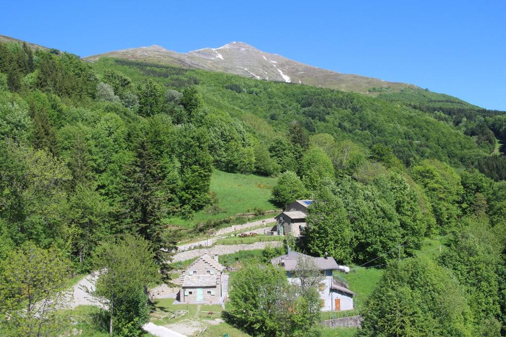 Príroda v okolí farmy