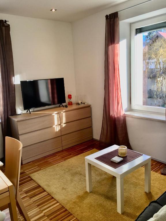 TV a/nebo společenská místnost v ubytování Apartment Zittera - Adults only