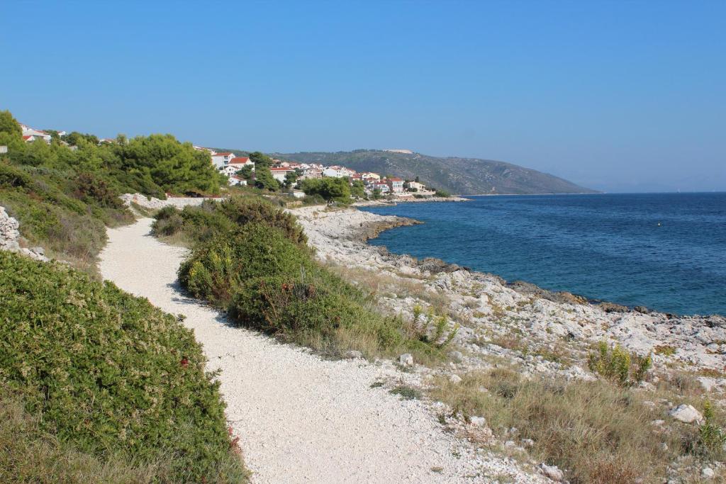 Príroda v okolí apartmánu