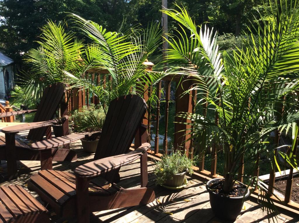 Zahrada ubytování Île de Garde B&B