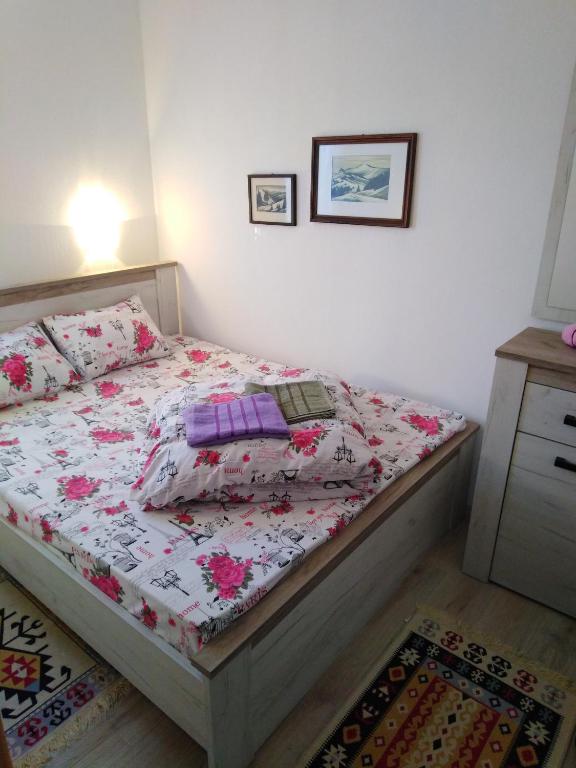 Postel nebo postele na pokoji v ubytování Apartments Durmitor