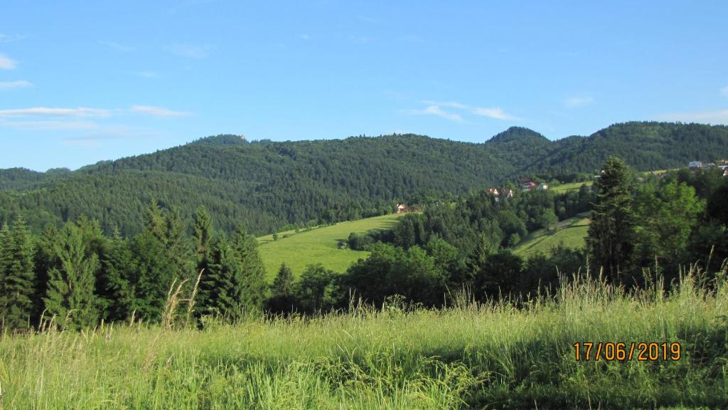 Příroda nedaleko chaty
