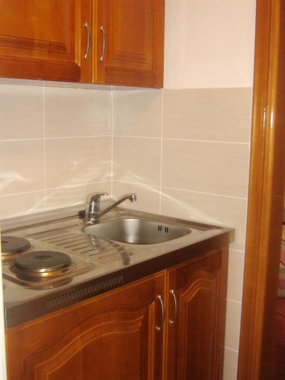una cucina con lavandino e piano di lavoro di Apartments Kepi Gjerana a Ulcinj