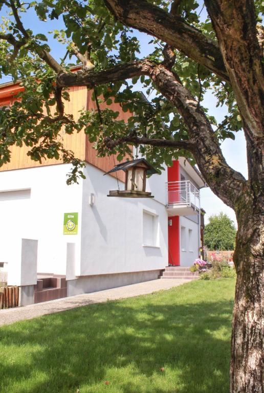un bâtiment avec un arbre devant lui dans l'établissement Les coeurs de Cachemire, à Breuschwickersheim