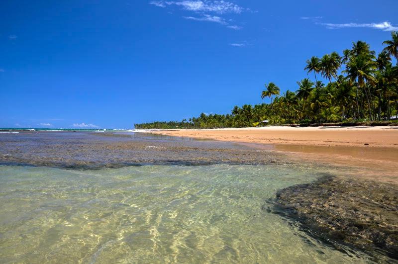  Flat Barra Mar