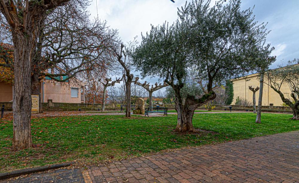 Vonkajšia záhrada v ubytovaní Apartamento VIRGEN DEL VALLE
