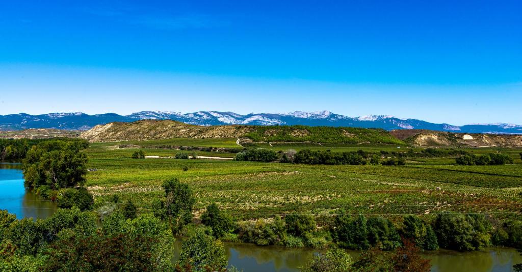 Príroda v okolí apartmánu