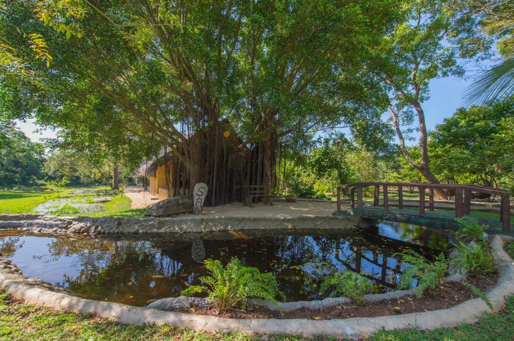 Zahrada ubytování Kalu's Hideaway Udawalawe