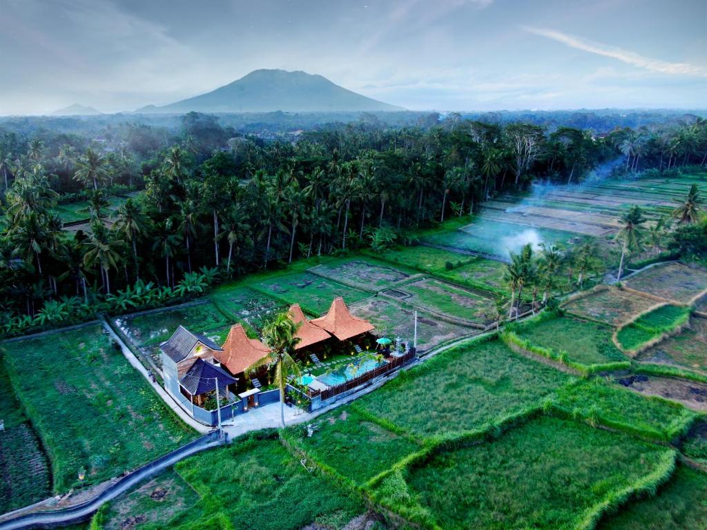 Galang hari villa - 4