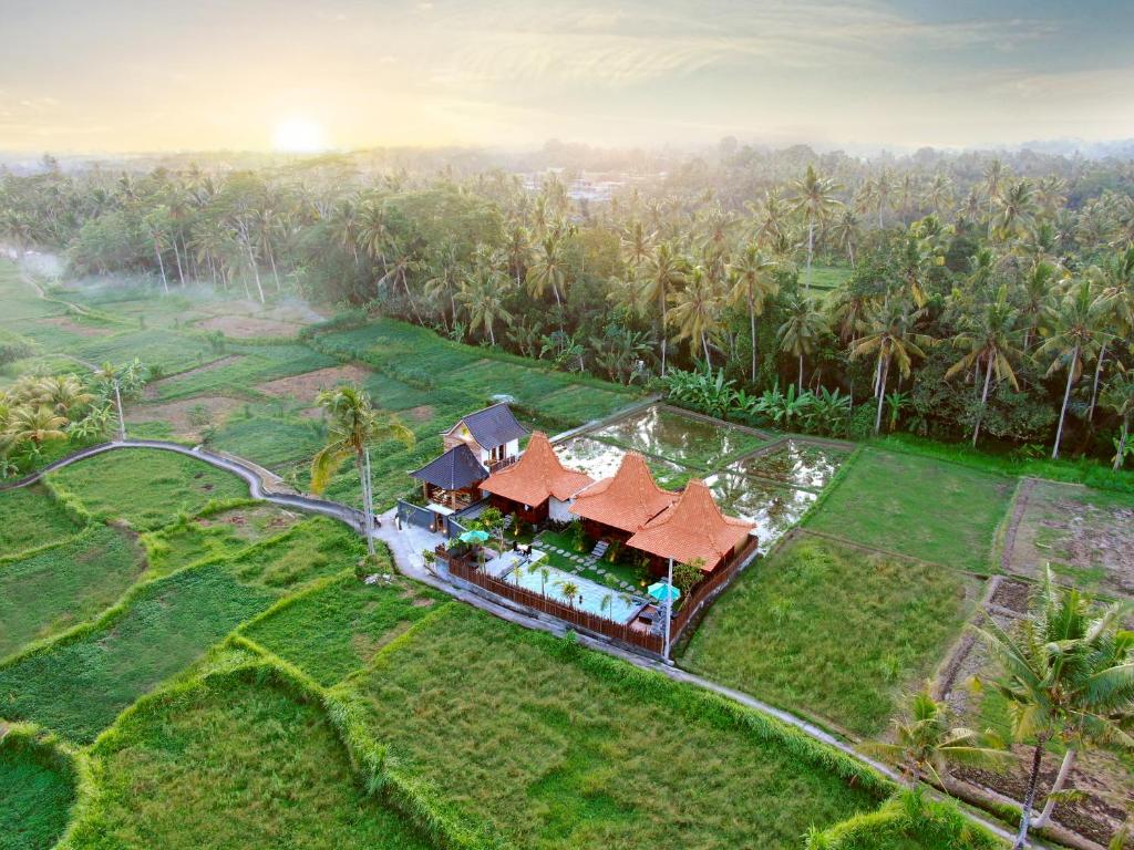 Galang hari villa - 16