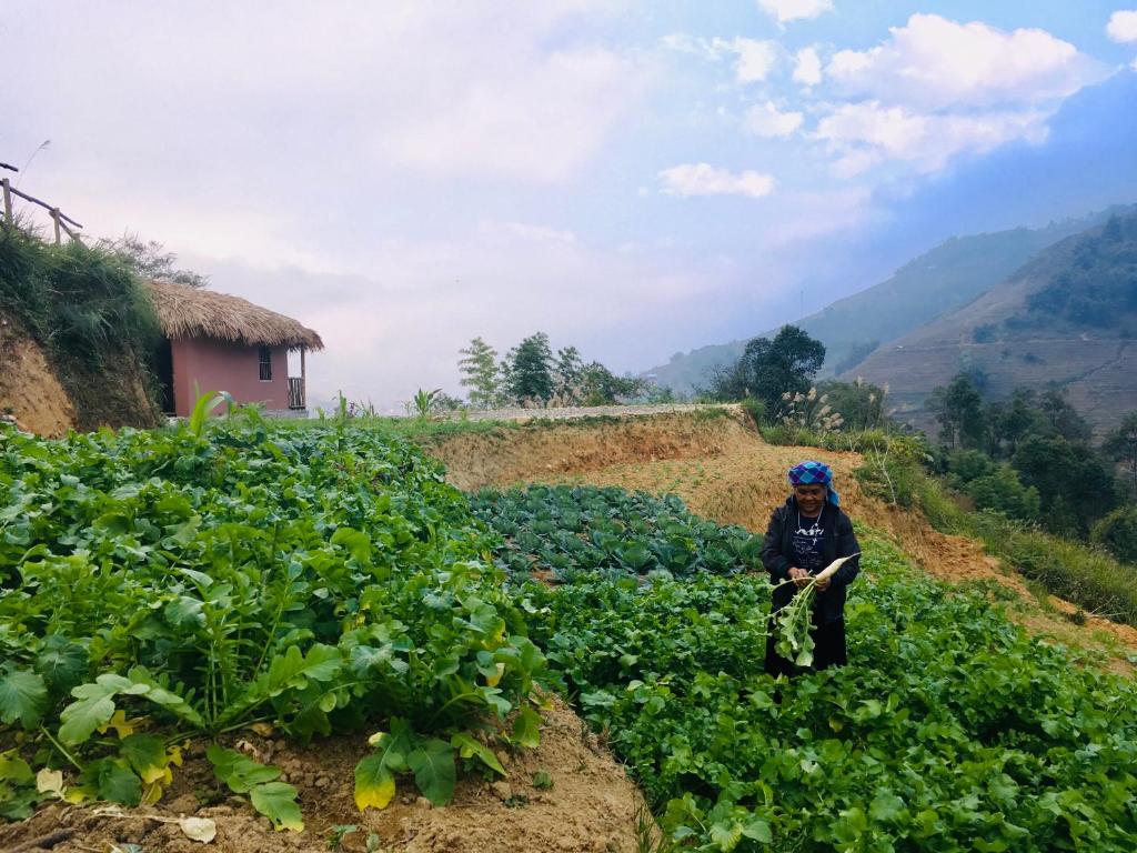 Pu Hmong Eco Retreat - 17