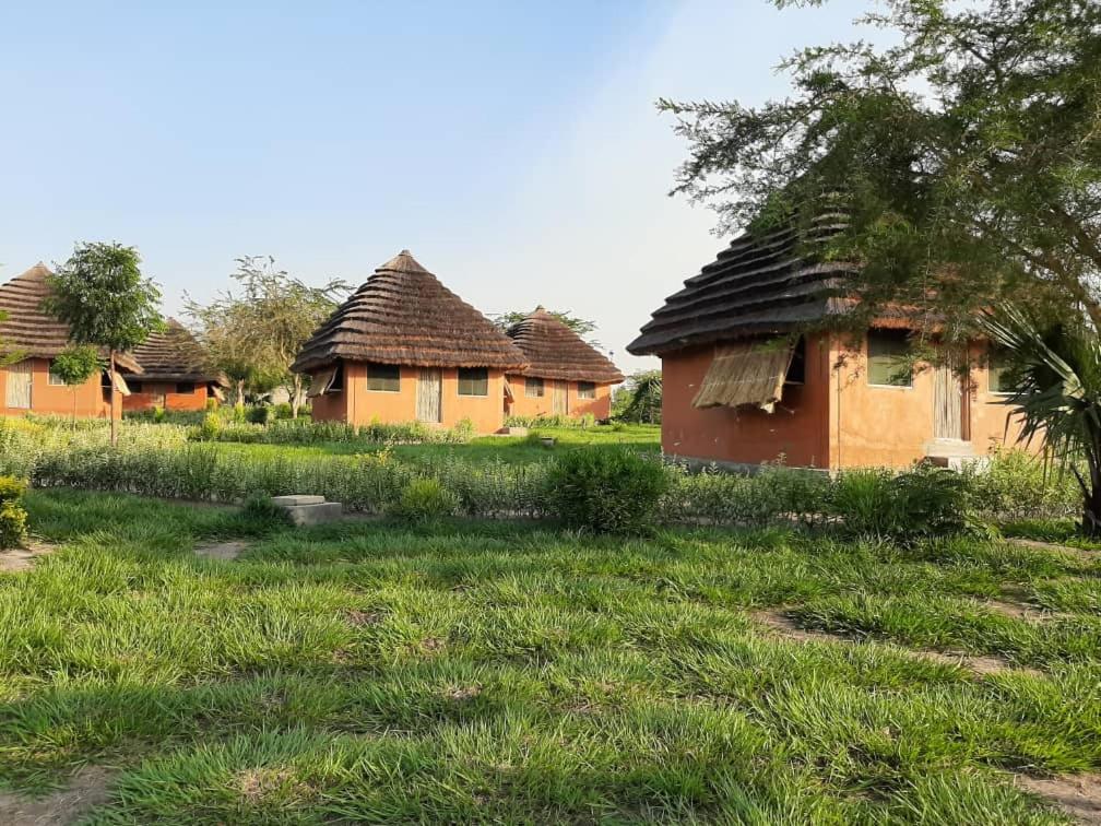 Tangi Safari Lodge في Pakwach East: مجموعة منازل في ميدان عشب