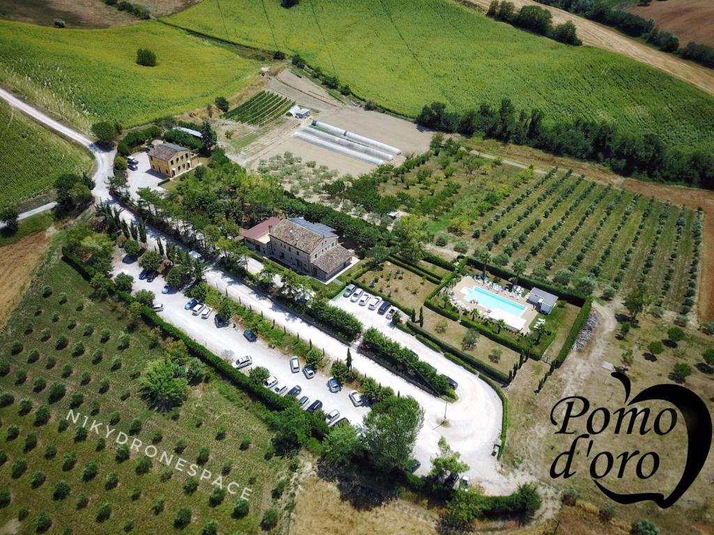 Torre San Patrizio的住宿－Agriturismo Pomod’oro，享有葡萄园庄园的空中景致