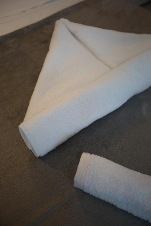 Cavallari Palace Hotel Suites - Resim 14