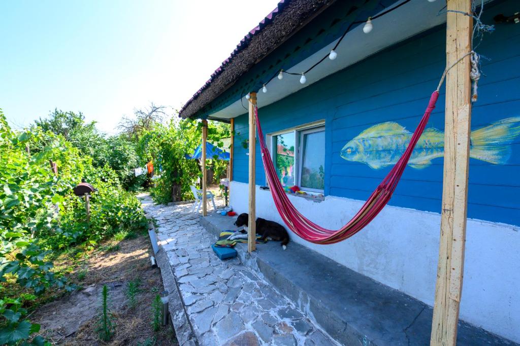 eine Katze, die neben einem blauen Haus mit einer Hängematte liegt in der Unterkunft Danube Delta Hostel Homestay & Camping in Sulina
