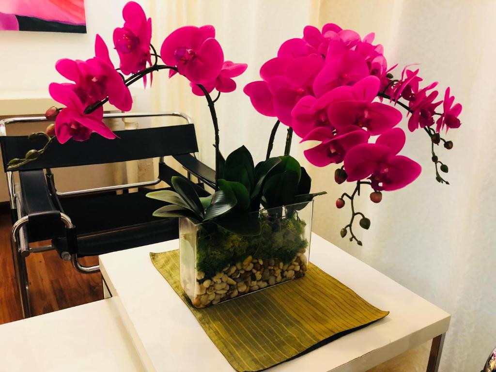 Baipho Lifestyle - Resim 26