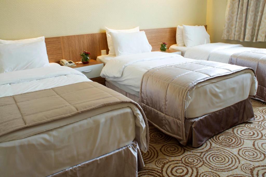Elite Hotel Dragos - Standard -Triple Room