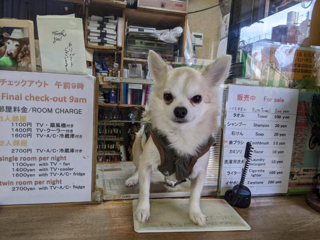 大阪鑽石酒店 22 年最新房價