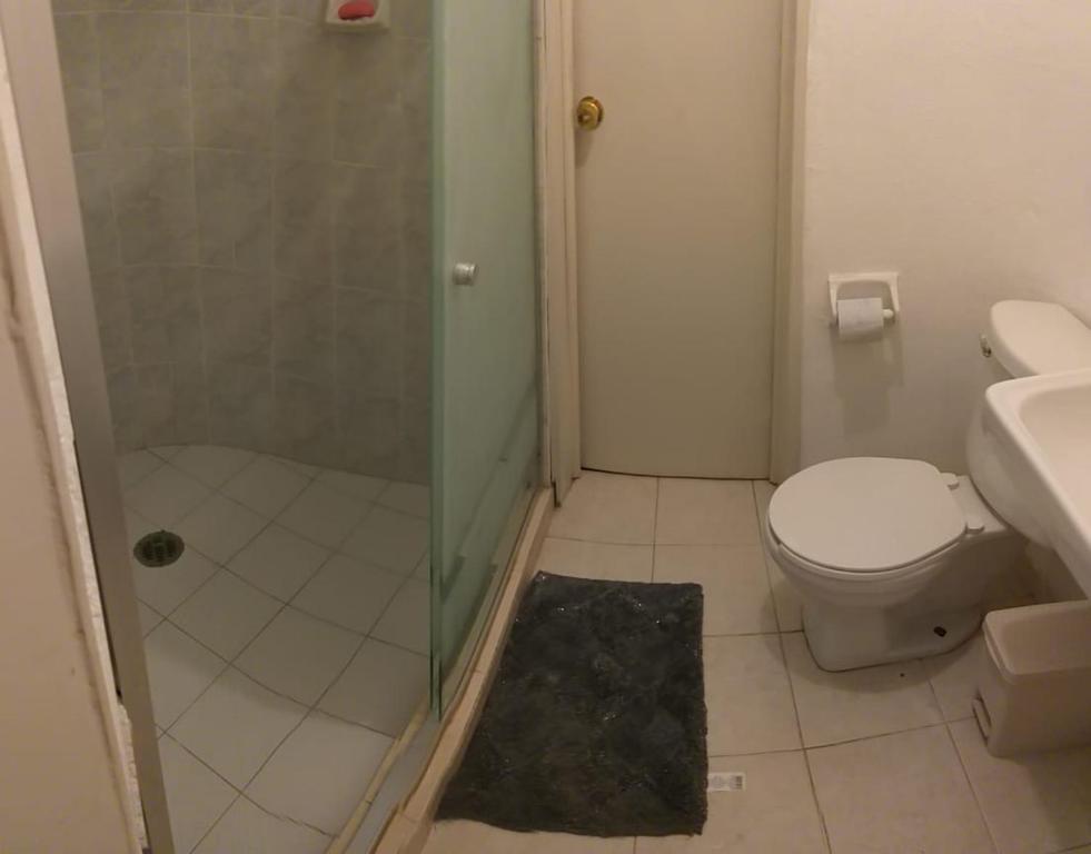 departamento nivel 2 playa centro