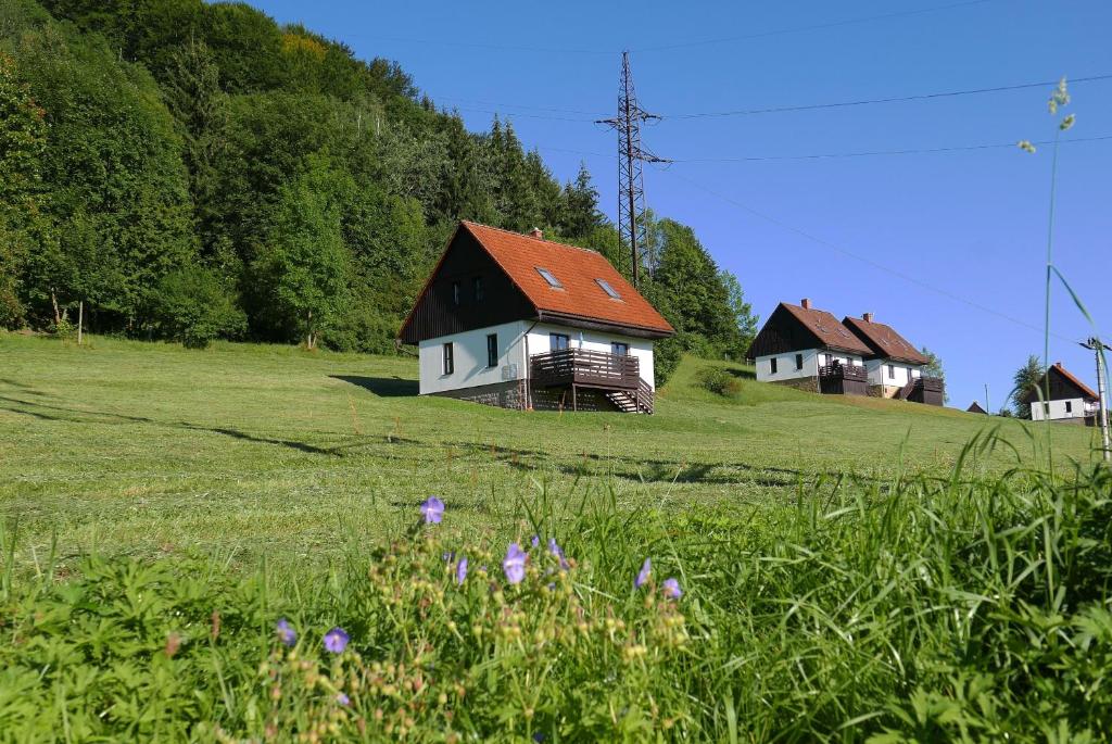 Gallery image of Green Valley Park in Stárkov