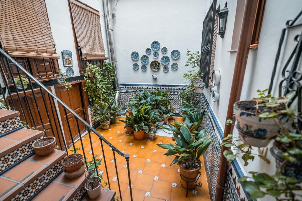 Veronica Centro, Granada – Precios actualizados 2023