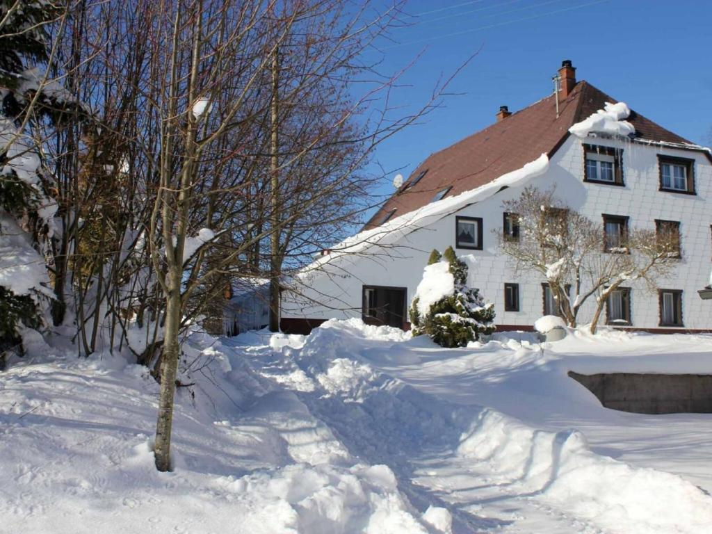 a house covered in snow with trees and branches at Apartment in Lauterbach in the Black Forest in Lauterbach