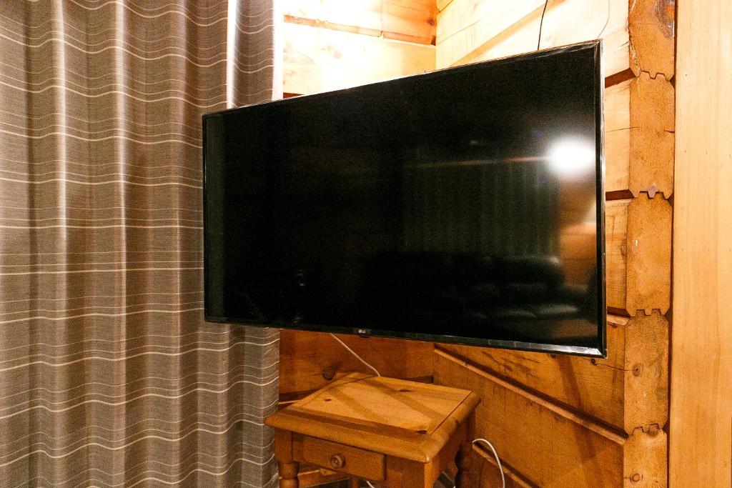 TV a/nebo společenská místnost v ubytování ログハウスせせらぎ