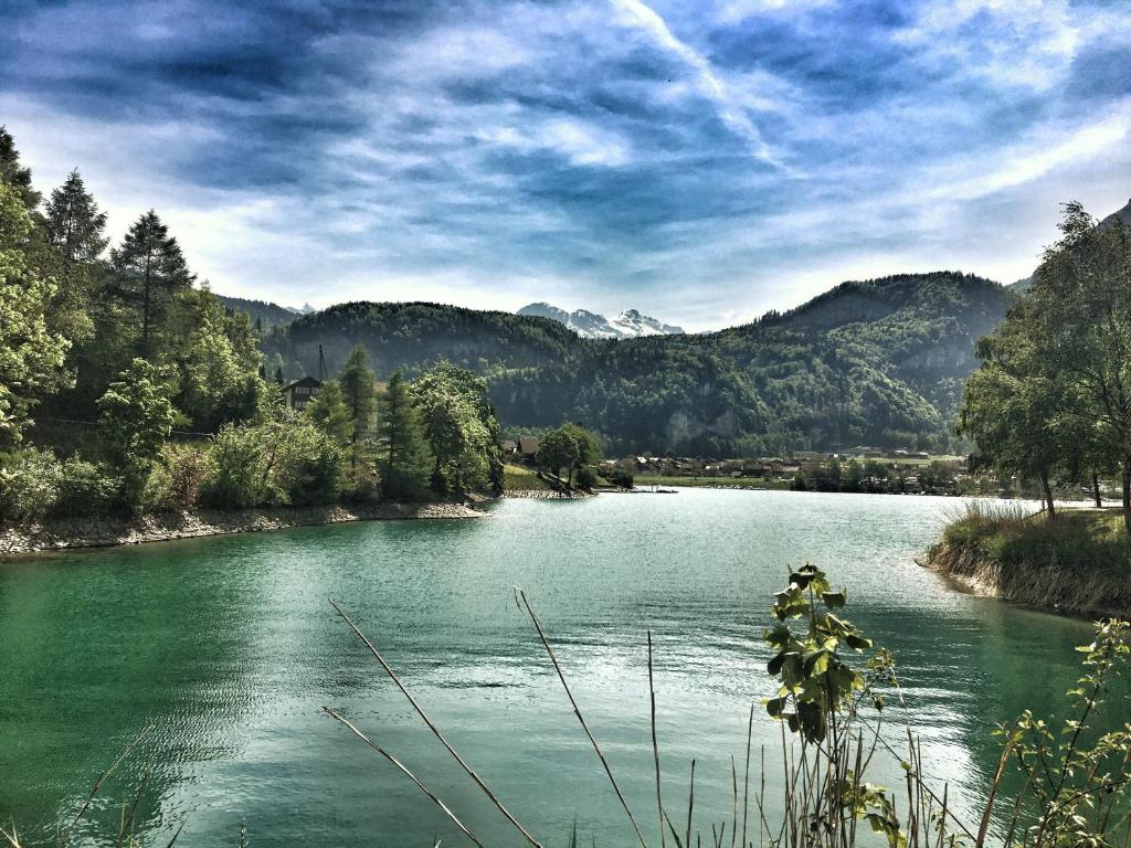 a green river with trees and mountains in the background at Emma's B&B - Self Check-in Hotel in Lungern