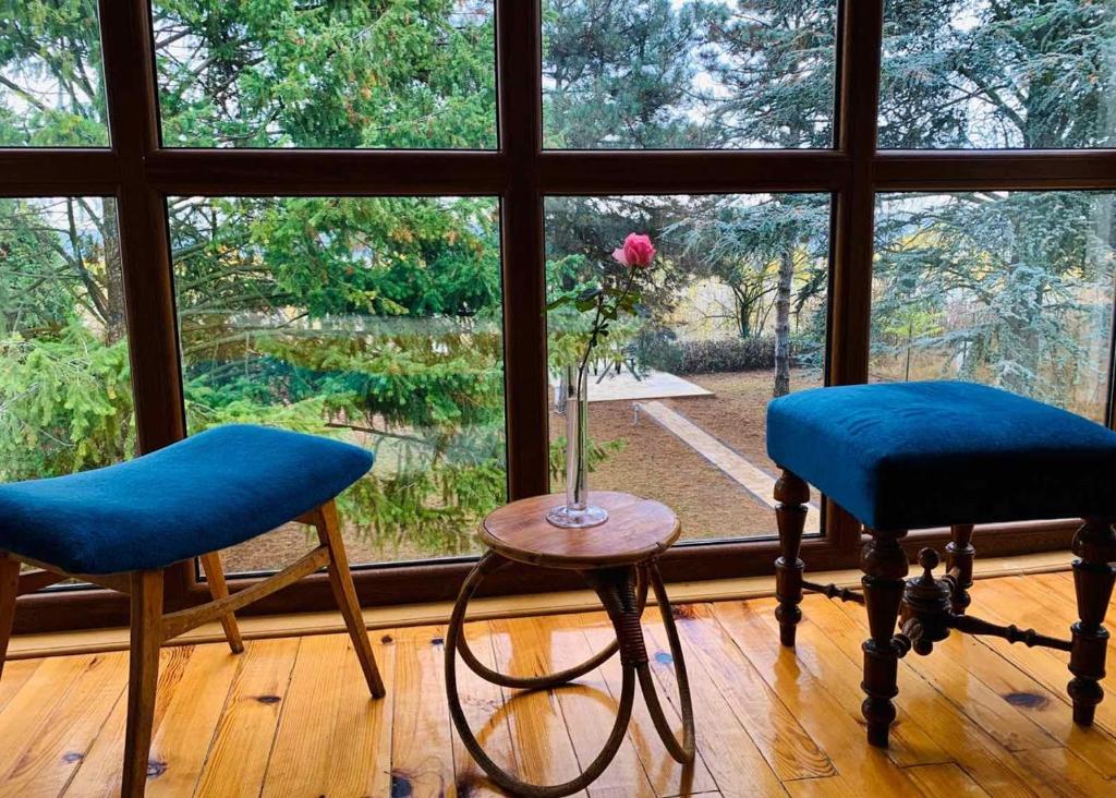 Zahrada ubytování Belegis Villa